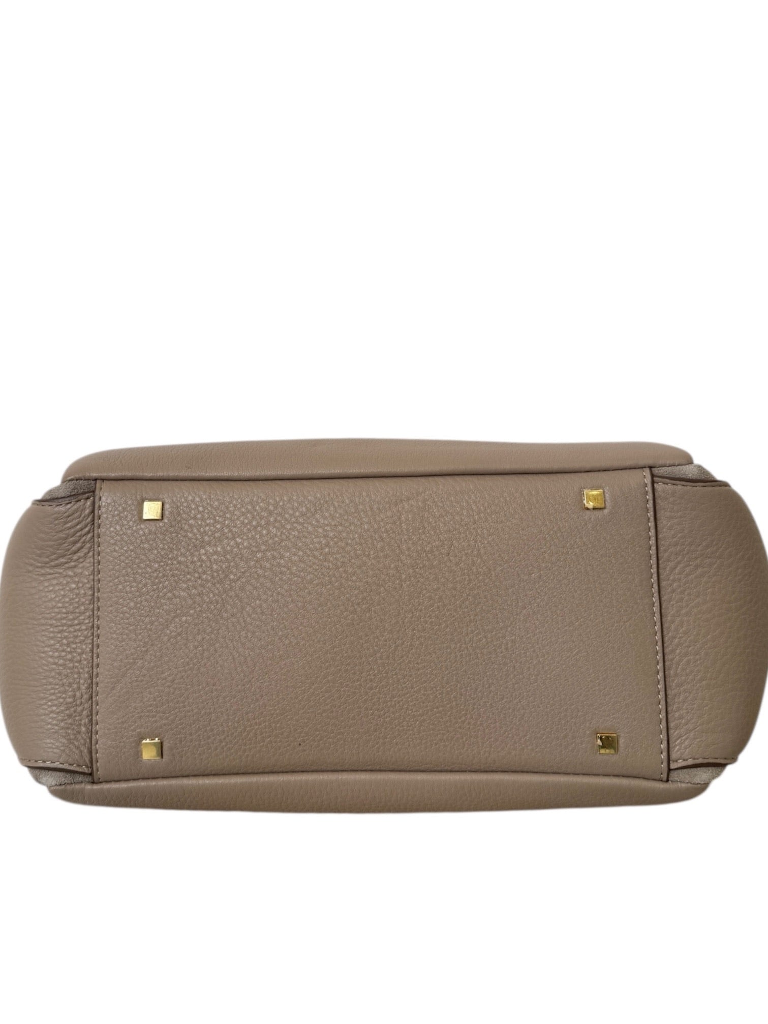 LA GRAN MANZANA TOTE BAG