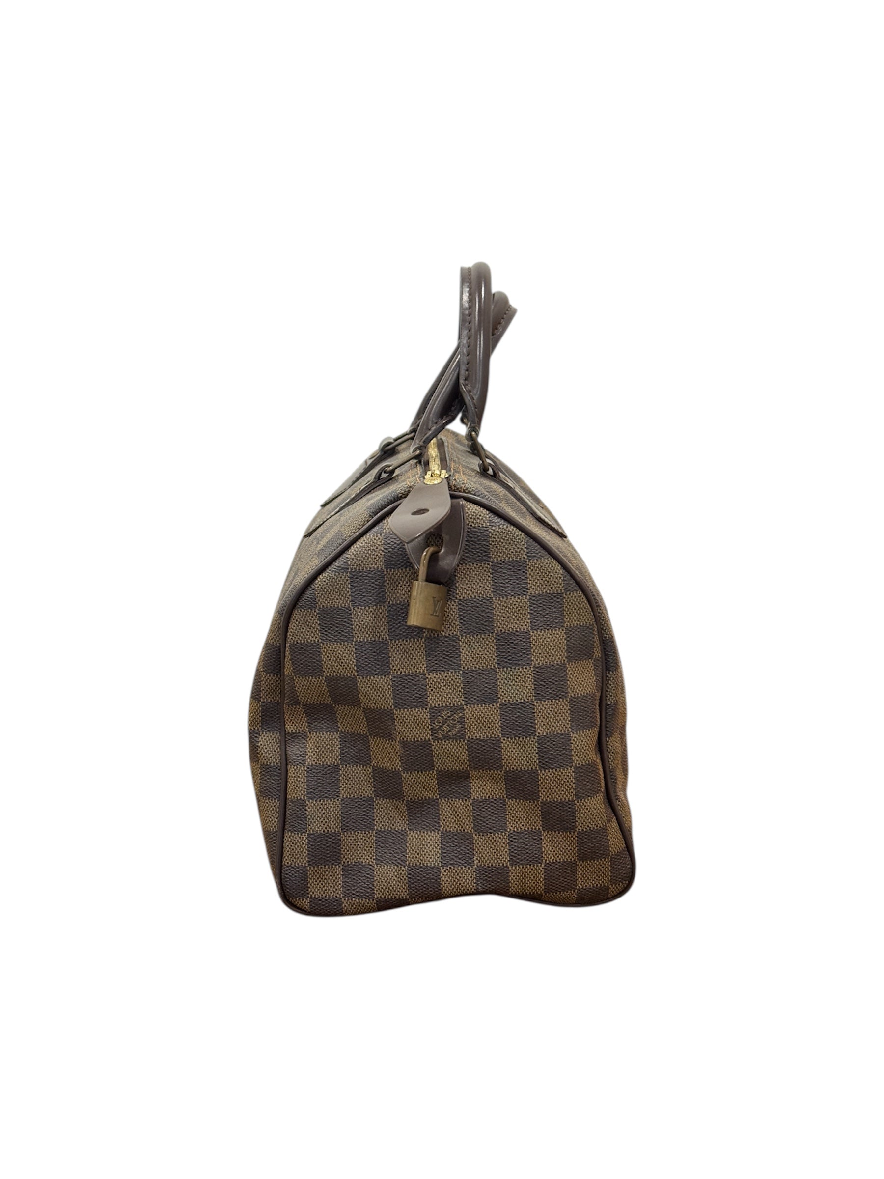 Damier Ebene Canvas Speedy 30 Bag