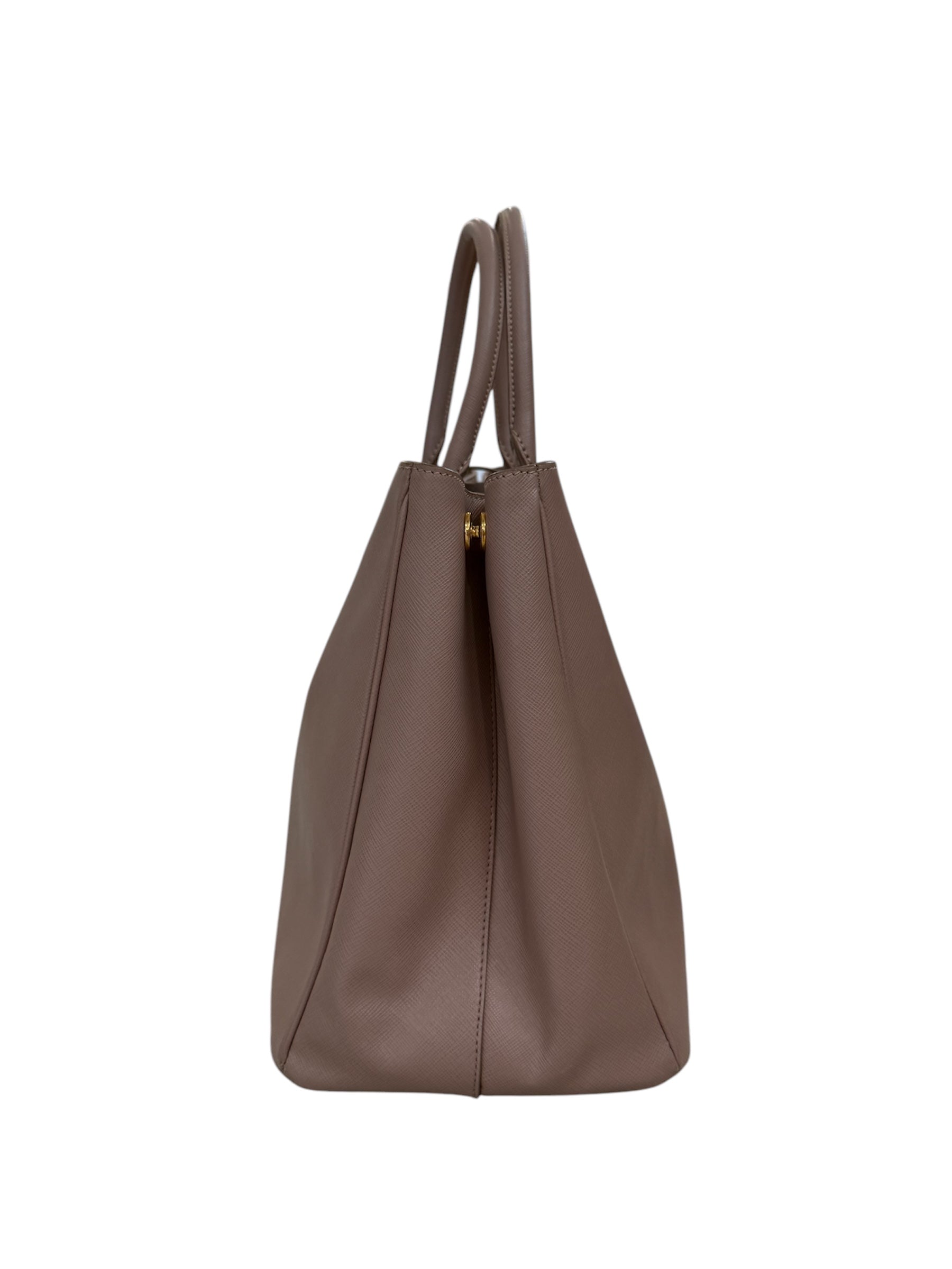 Blush Cammeo Saffiano Lux Leather Tote