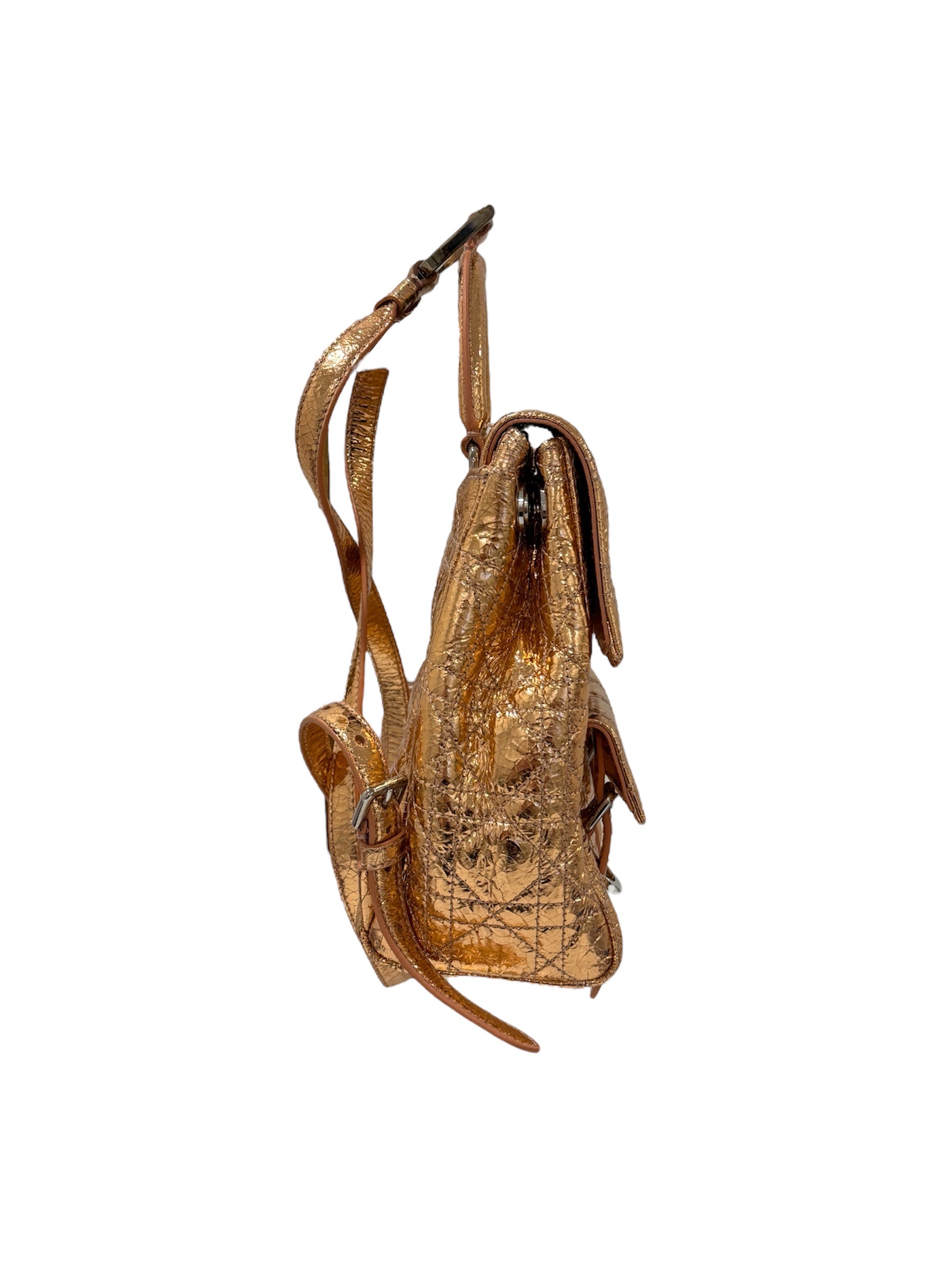 Bronze Cannage Foil Leather Small Stardust Backpack